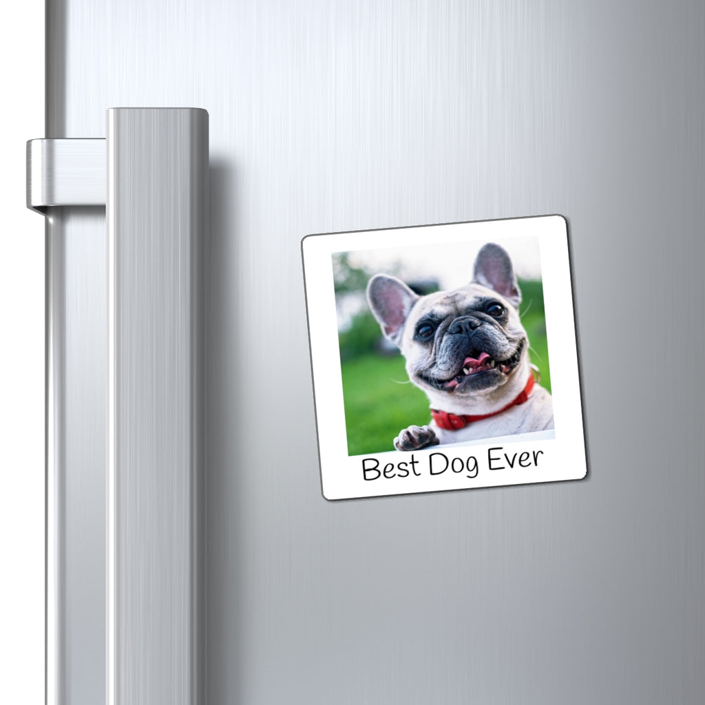 Personalized Pet Photo Fridge Magnet