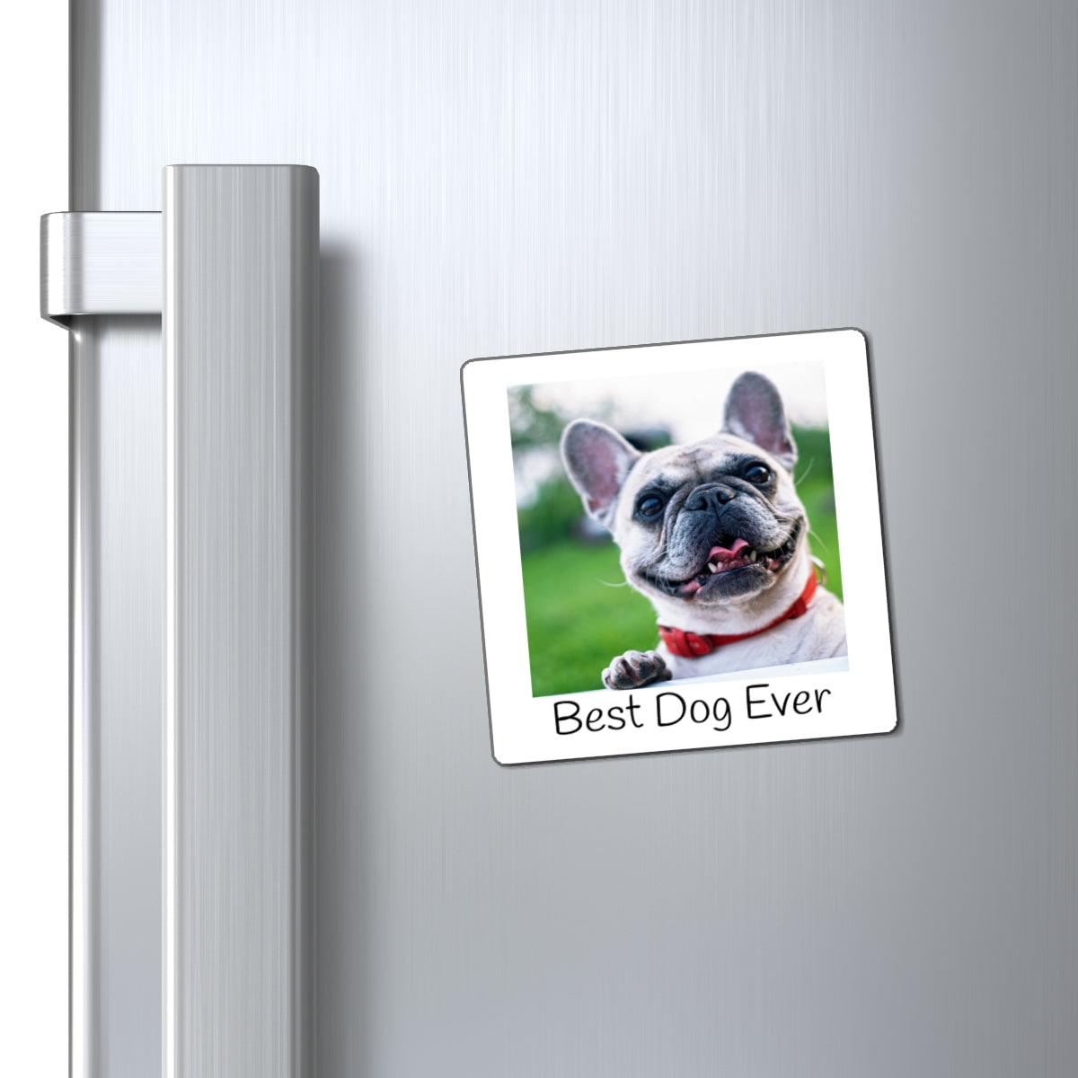 Personalized Pet Photo Fridge Magnet