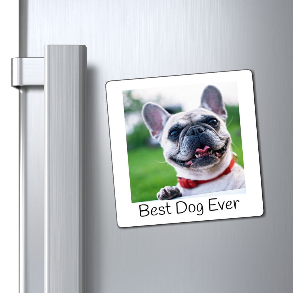 Personalized Pet Photo Fridge Magnet